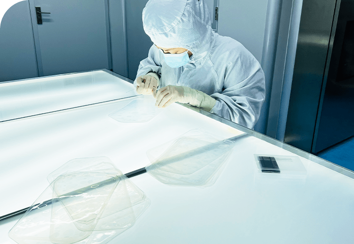 Beijing Bio Partner Biotechnology Co., Ltd.